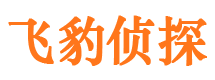 龙潭侦探